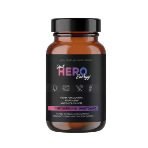 Hero Energy